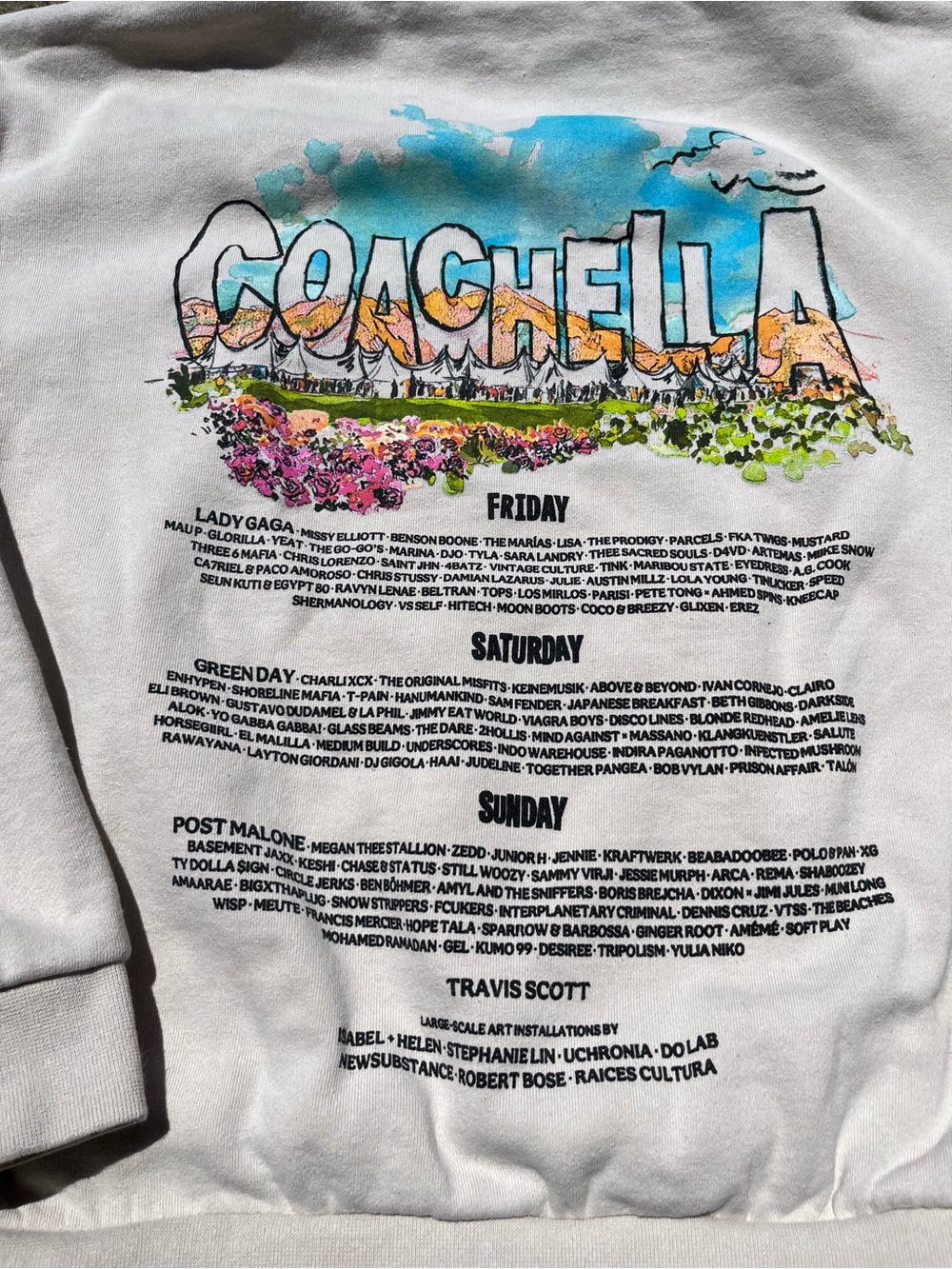 Coachella 2025 Hoodie Large - Picture 2 of 8
